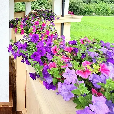 Daire In Stubai Alps With Supercard *